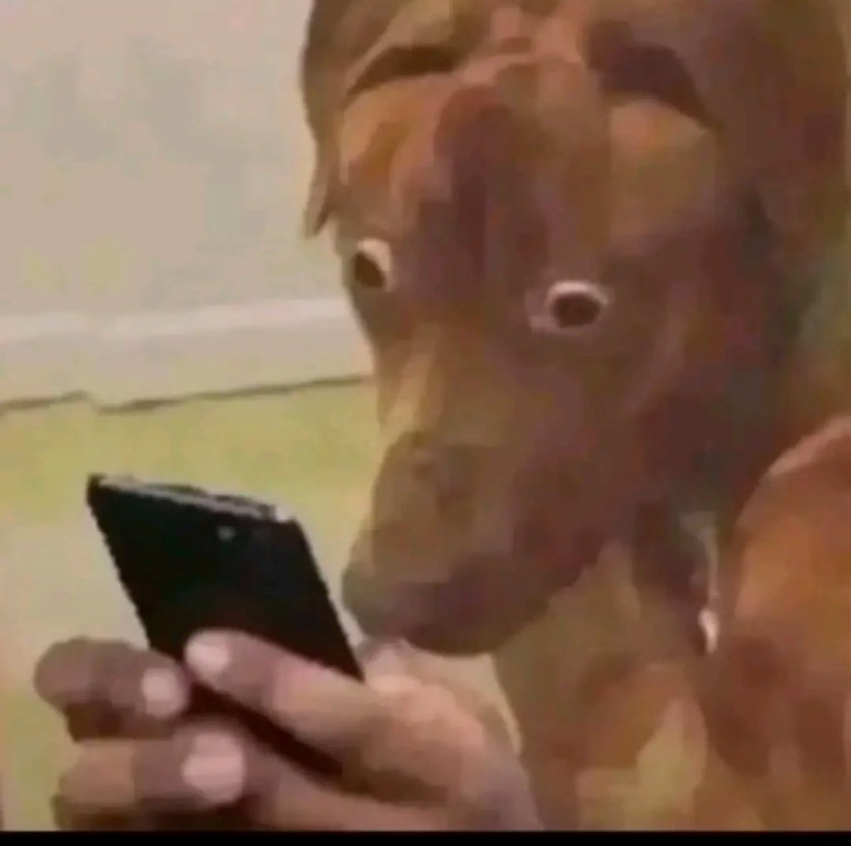 BoostPatrolling tweet media