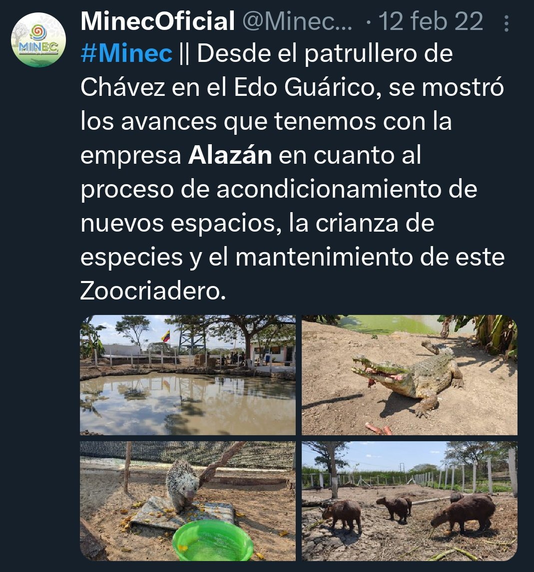 Fritz_A_Sanchez's tweet image. Los ejemplares d monos Cheracebus lugens, fueron sacados d vida silvestre del PN Caura #edoBolivar seguramente para ser comercializados x Inv. Alazán, gracias a su larga trayectoria d alianzas con el #MINEC q datan del exministro d ecosocialismo Lorca