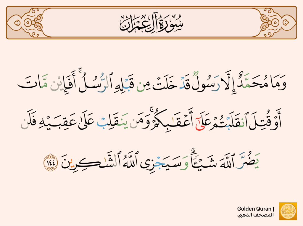 RinchiFathi's tweet photo. @saad8264 @karimGahin1 https://t.co/own0uyQfcC
