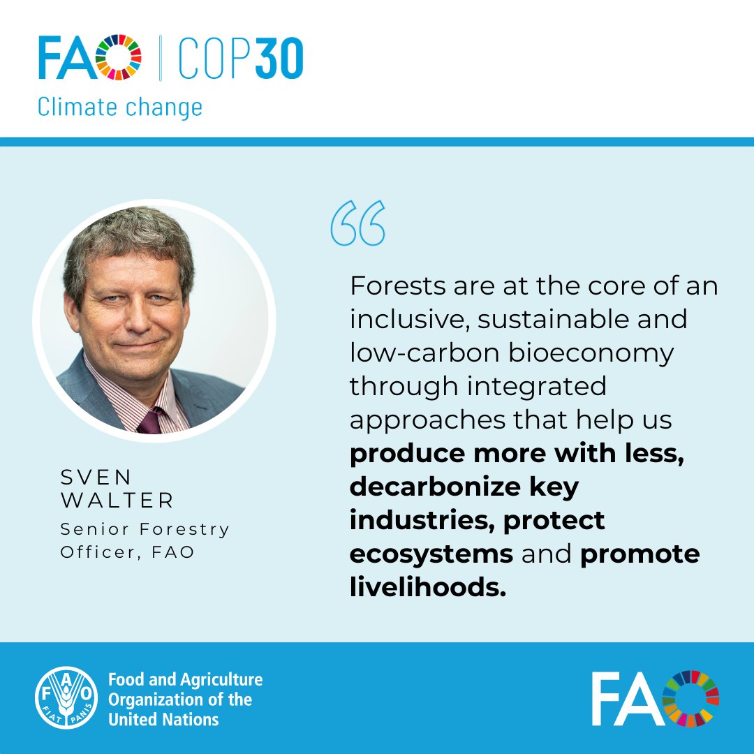 FAOForestry's tweet image. Forests are key to an inclusive, sustainable, low-carbon bioeconomy - helping us produce more with less, decarbonize industries, protect ecosystems &amp;amp; promote livelihoods, @FAO’s Sven Walter tells a Forests and bioeconomy session at #COP30 #ForestPavilion.

#UNForests @FAOClimate