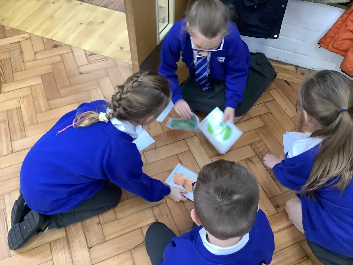 ManorWayPrimary's tweet photo. ⭐️Year 4 immersed themselves in a Roman experience day to consolidate their learning from Autumn 1. They brought all of their learning together and made connections with the world we liv win today. They even got involved in a Roman battle! ⭐️ @HumphsH #WAThistorians @WinAcadTrust https://t.co/fSSHrk2eKd