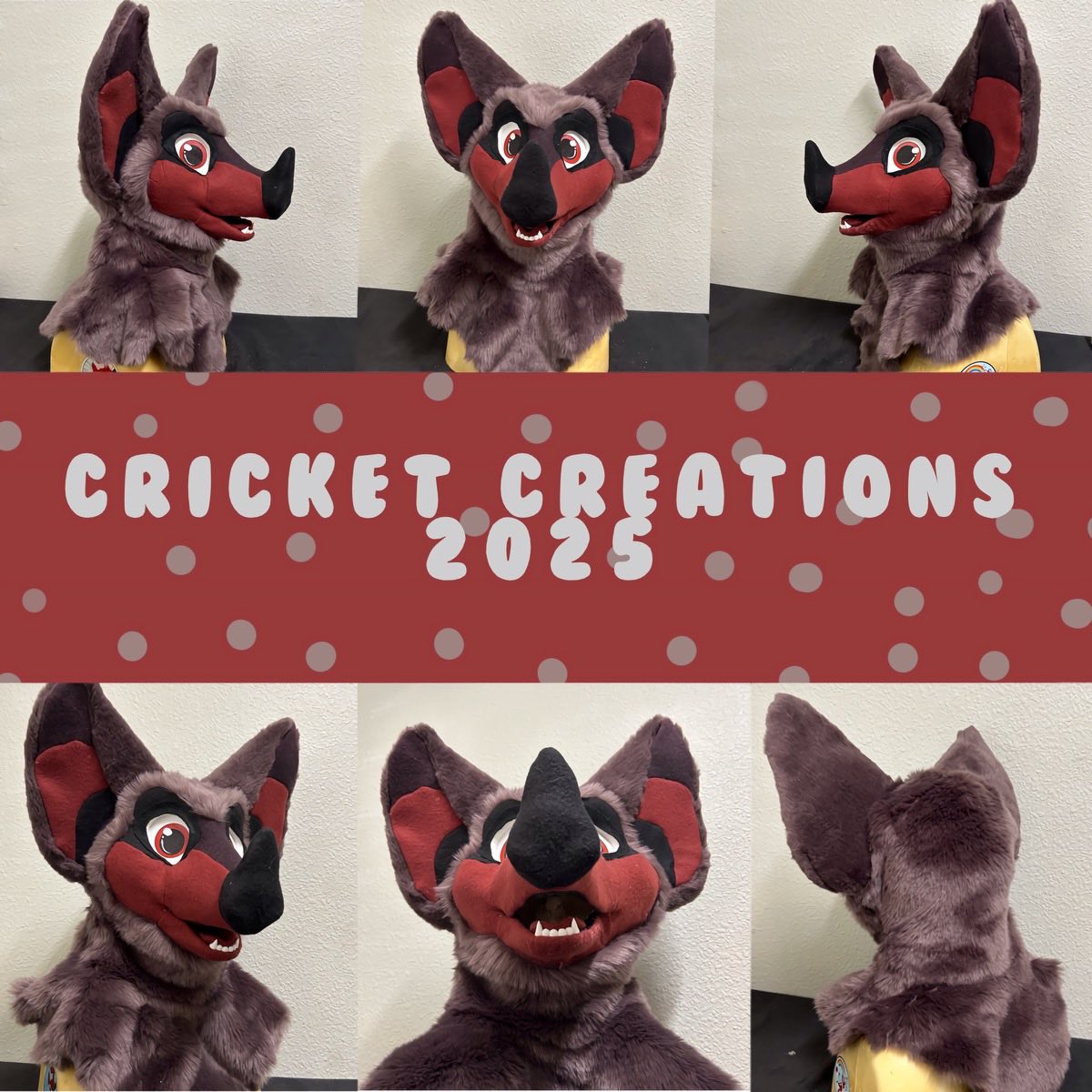 Cricket Creations tweet media