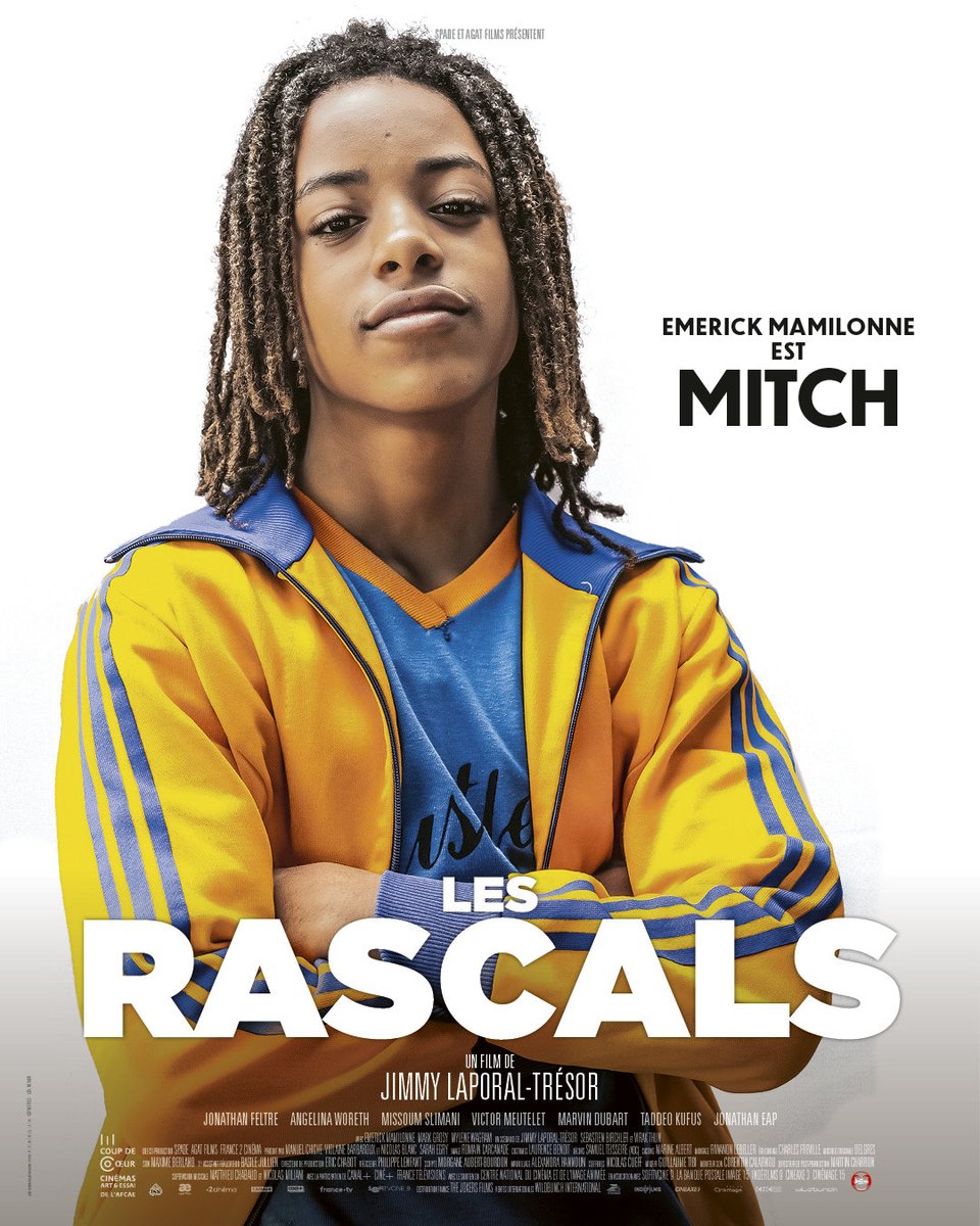 Manuel Chiche tweet media