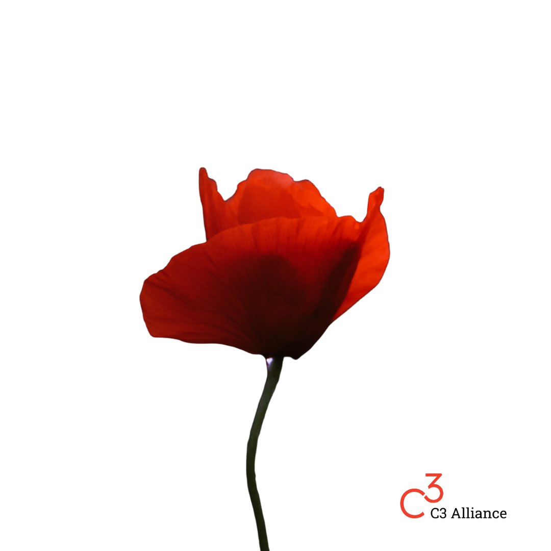 Today, we honour the dedication and sacrifices of those who have served in Canada's armed forces.

We remember all veterans, active service members, and their families, including the many Indigenous peoples, whose contributions have been integral to our history. #lestweforget