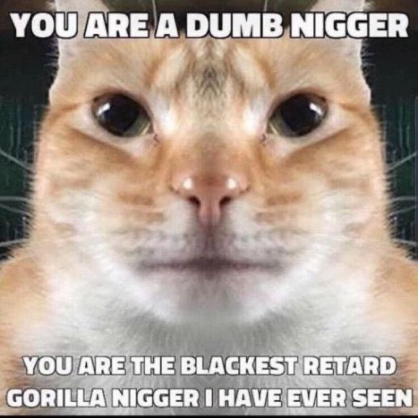 PanamEnjoyer tweet media