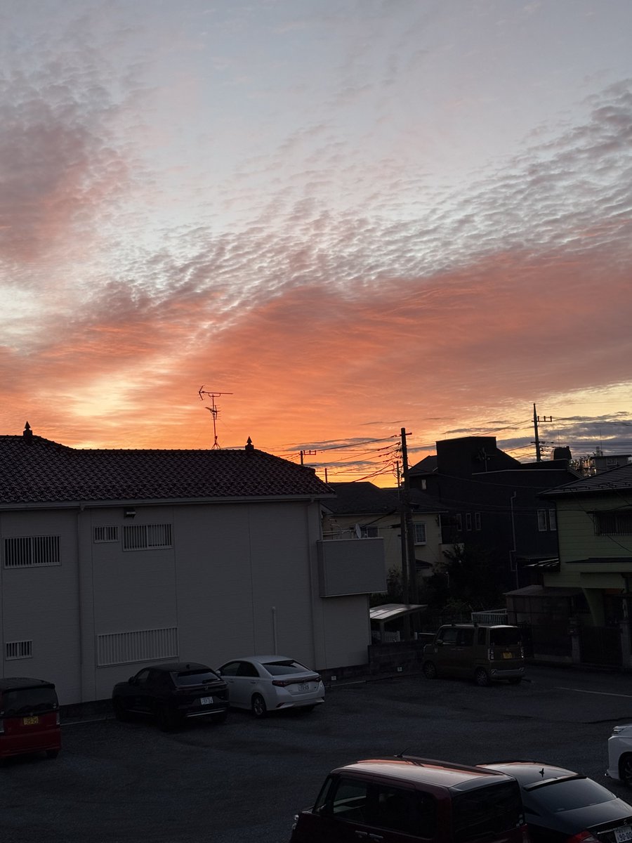 ちょこ様ご確認ページ clubcoo🦄①🏵️ on X