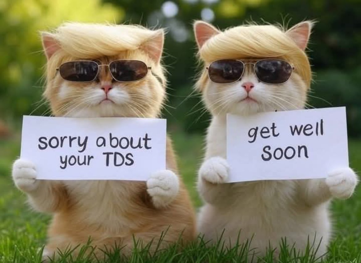 BamaGirl 😏🇺🇸🇺🇸🐘 tweet media