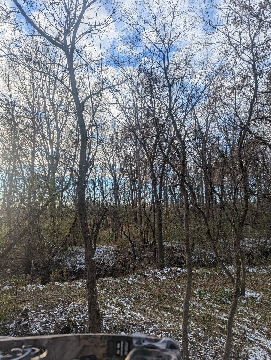 One last sit at the farm before I have to go back to work tomorrow.