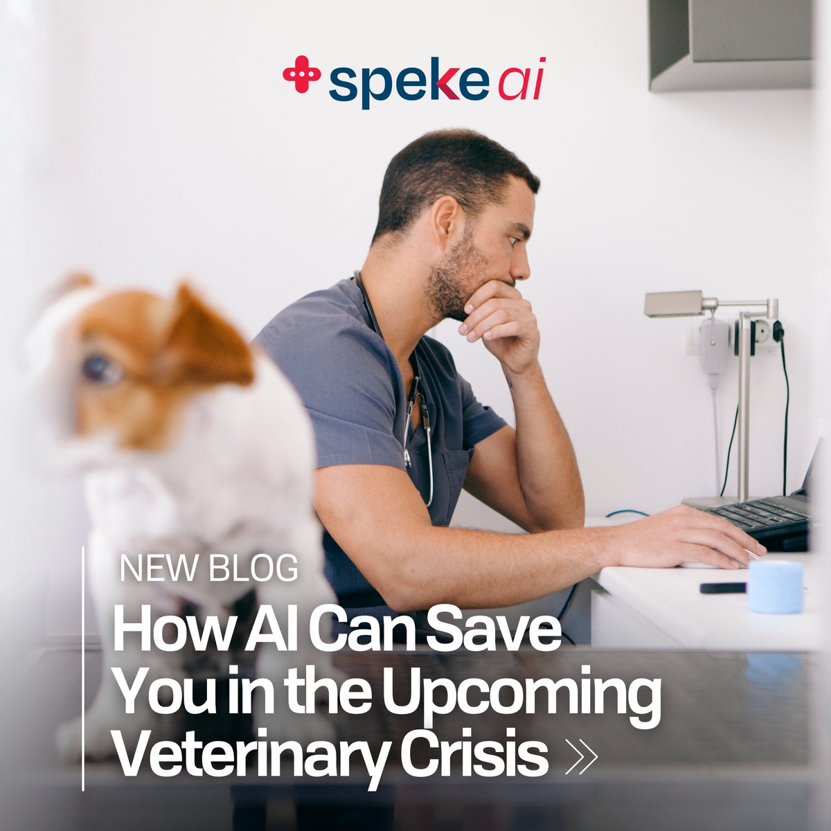 From empathy burnout to increased administrative burden, vets need help. Discover how ScribeCanada's solutions can provide relief. Read more: hubs.li/Q03Sw63p0