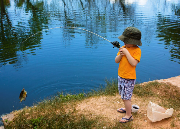 LynnDFine1's tweet photo. @teamfishtv As a family, we love to go camping, fishing and enjoy the outdoors.

Starting a campfire is our biggest challenge. Especially when the kids are eagerly awaiting toasted marshmallows.

This giveaway from Rapala, Home Hardware &amp; Qwick Wick Fire Starter would be wonderful.

THX! 🎣 https://t.co/TjJS0ySCvG