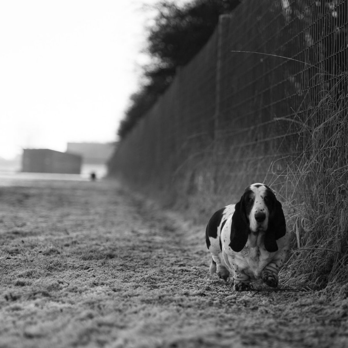 Phil Sledge tweet media