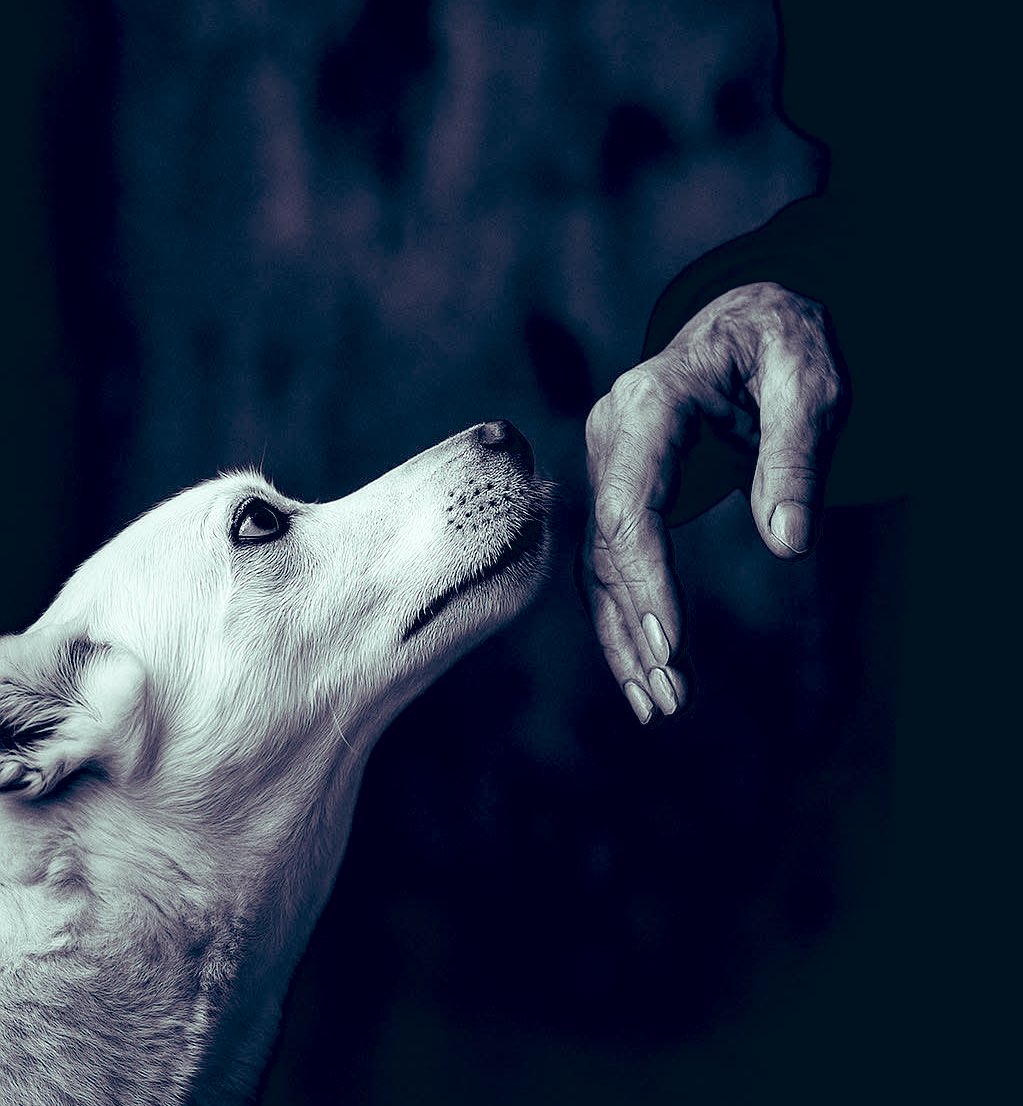 BLEXGUY's tweet image. Verified or not 
Say hi 👋
Let&apos;s follow you massively 🤍