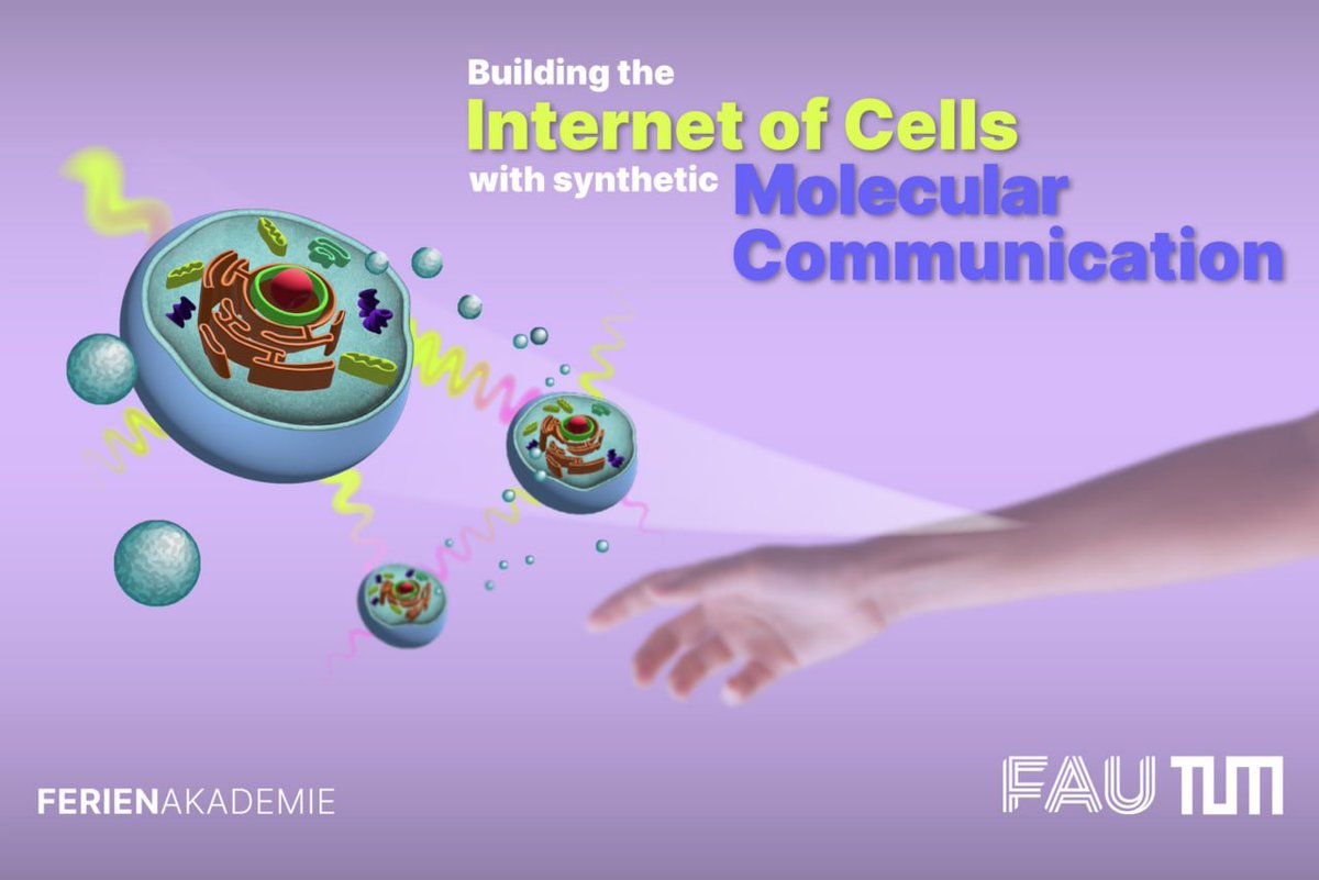 CorinneNokel's tweet image. Building the Internet of Cells With Synthetic Molecular Communication 

#FAU Erlangen-Nuremberg

Internet of Bio-Nano Things 

Healthcare 4.0 

 idc.tf.fau.eu/2024/09/11/sem…