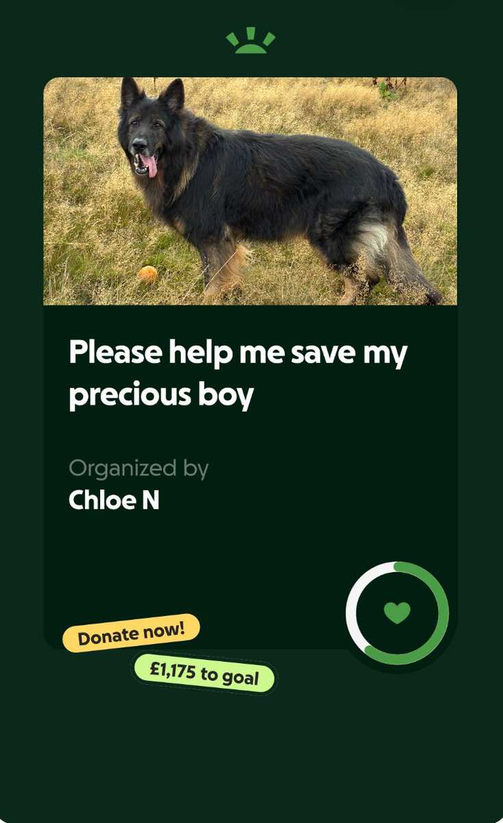 My brother's GF's dog is sick and she can't afford the small vet bill because she's been out of work since she lost her sister in 2023

If anyone can help by donating or just sharing, please do.

#vetbills #emergency #gofundme #animals

gofund.me/bac06a61b