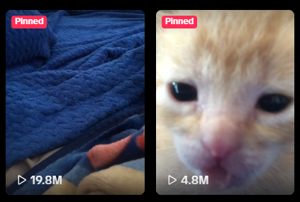 chad dev tweet media