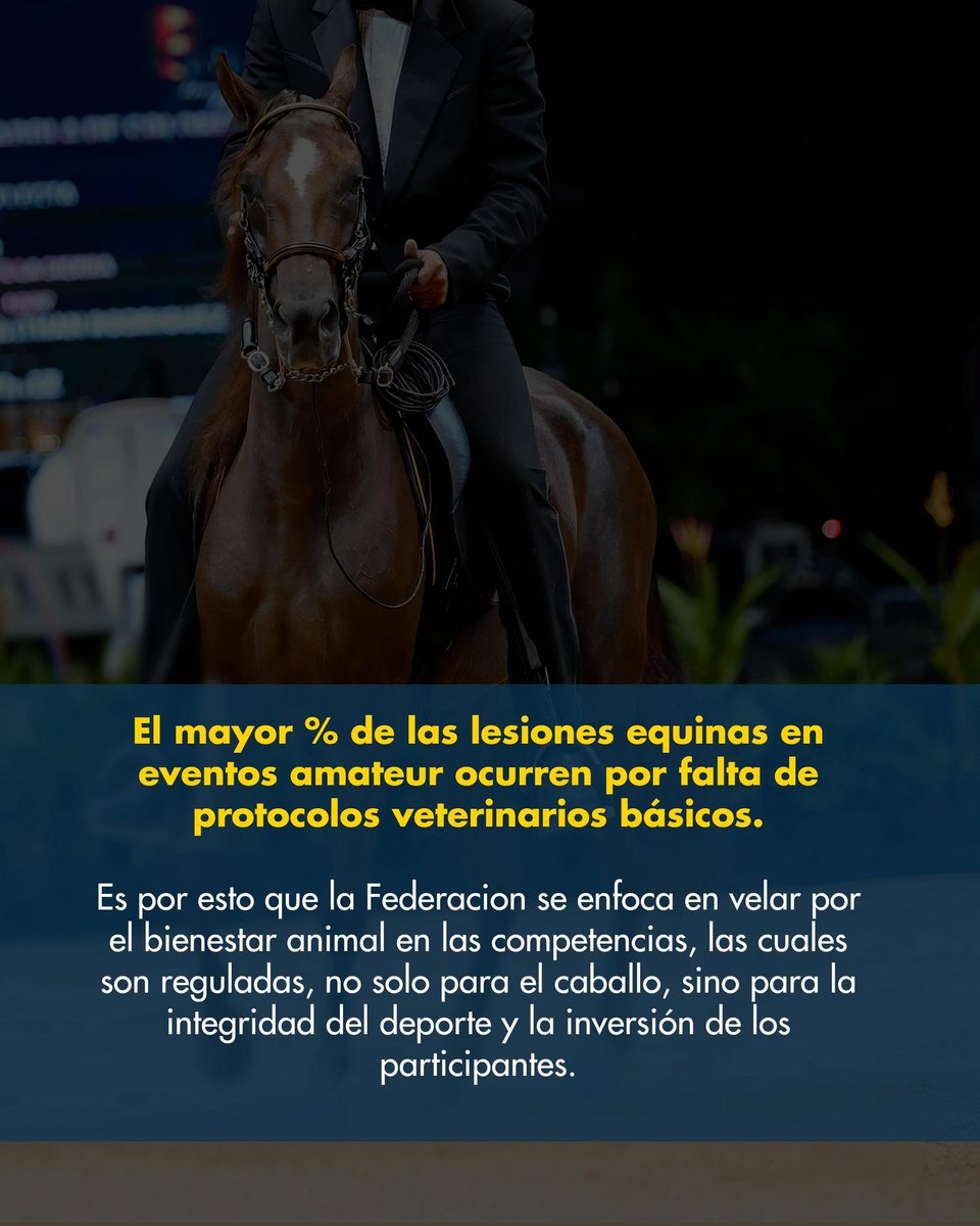 Fedequinas tweet media