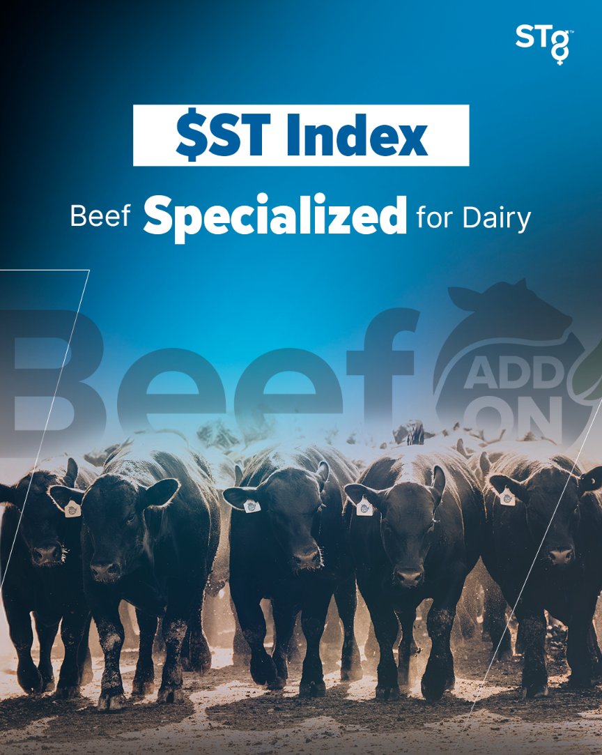Beef Add On™ offers a wide selection of beef sires available in Ultraplus™ male-sorted semen chosen specifically with your dairy herd in mind. Beef Add On™ Program brings profitability, efficiency and sustainability! To read more about Beef Add On™: bit.ly/44RHXna