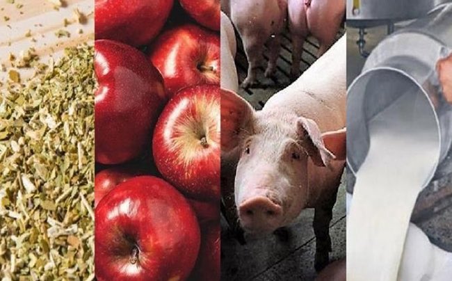 Semáforo de <a href="/CONINAGRO/">CONINAGRO</a>🚦

Economías regionales. Con leves variaciones, la mayoría están en situación crítica o preocupante

➡️ agroverdad.com.ar/2025/11/econom…

 #40AñosAV #AgroTitular #AgroCordoba #agro #campo #economiasregionales #economia