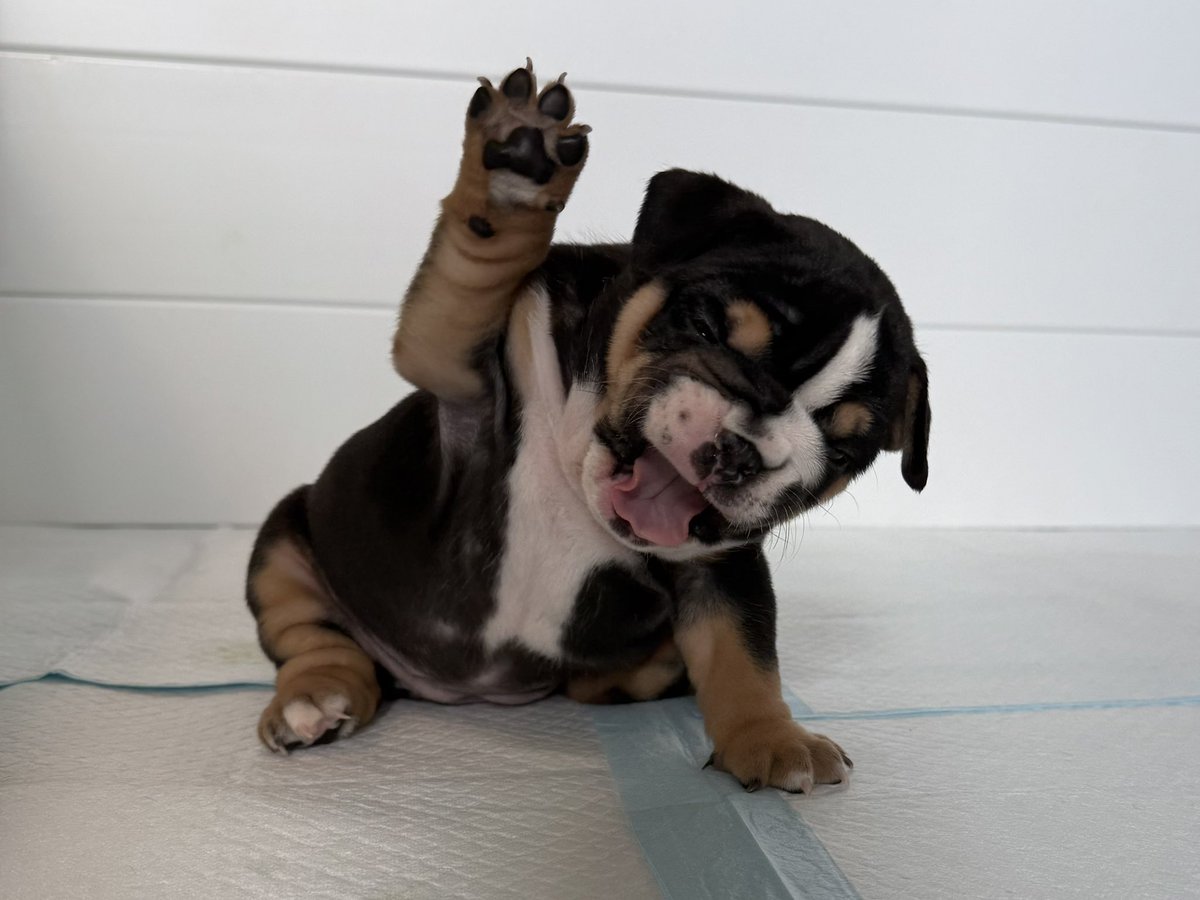 matribark's tweet photo. Current vibe. https://t.co/xP7Av8P2Sd