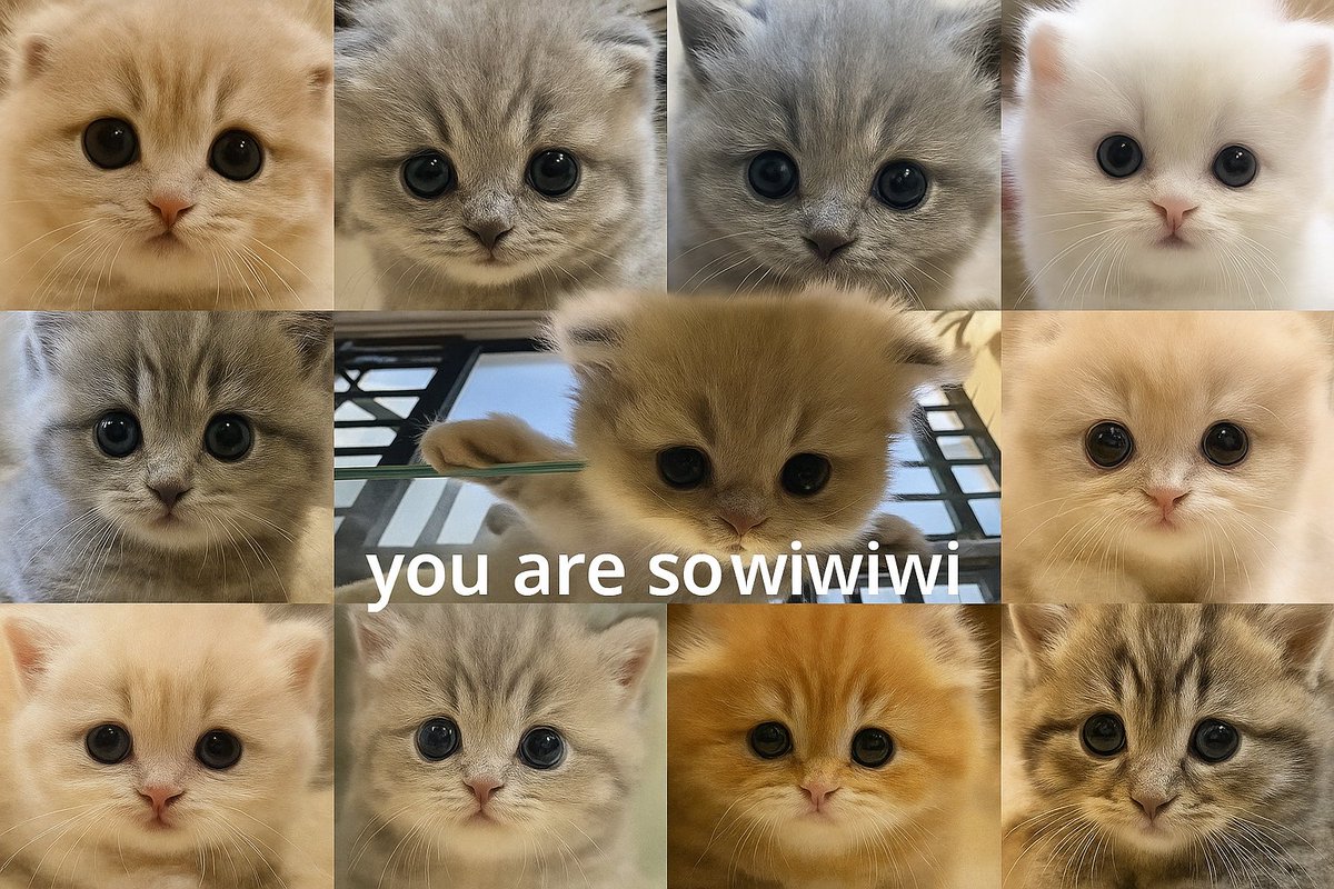 flipdexcoin's tweet photo. you are so wi wi wi

$wiwiwi

2E64MaHNzsXiBt3e4hmBpqAC9yRXT7W7m5SG8w5bpump https://t.co/ZBP2qIPJgk