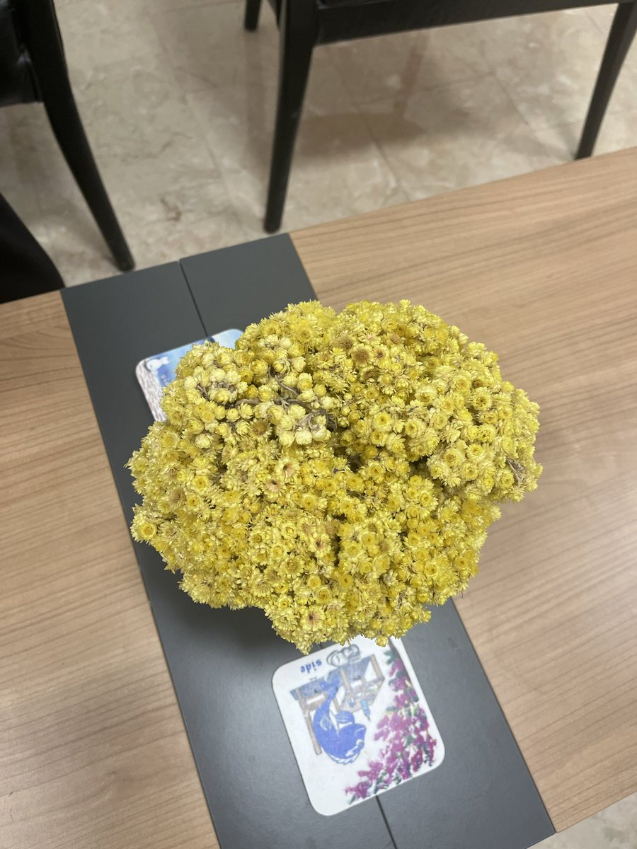 hocamın odasında yakaladığım çiçekler