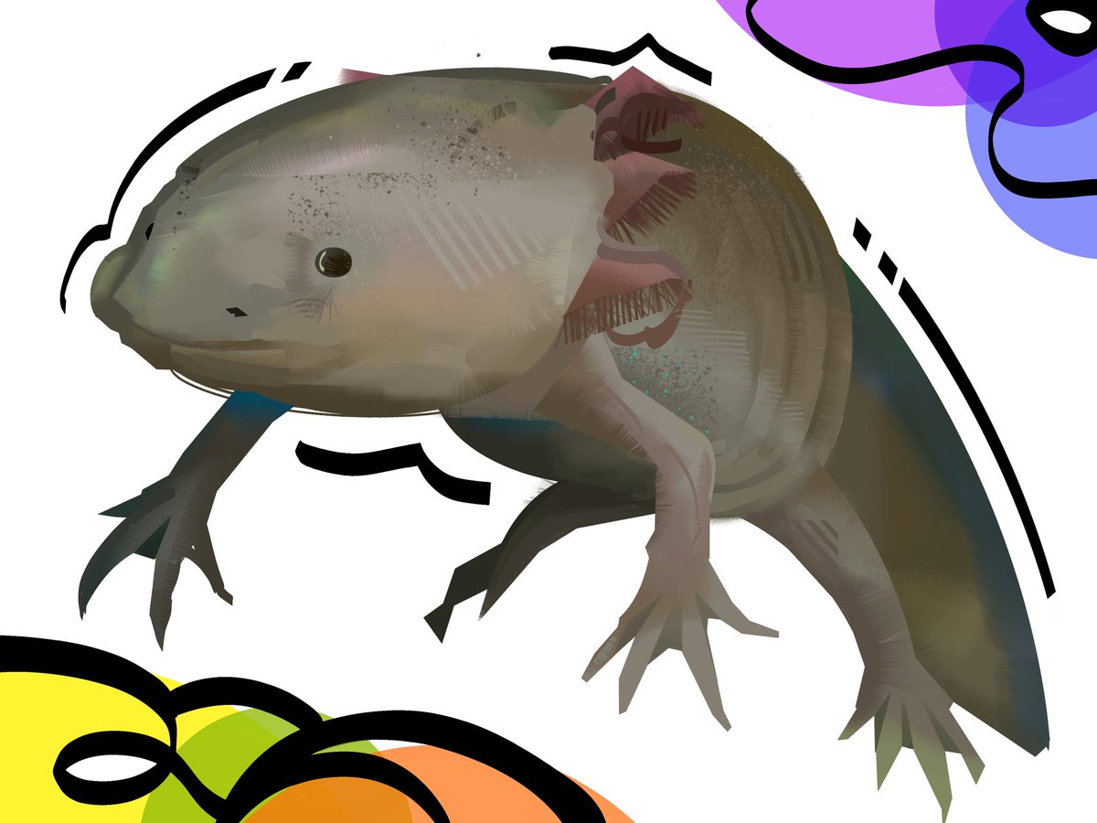 NateDHernandez's tweet image. My pet PAINTINGS also take a week or sooner to be completed for comission. If you're planning for the holidays