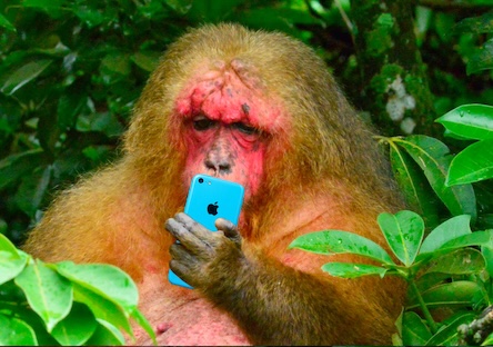 Early Bird Ends Tomorrow! Call For Entries XXIV #CinePobre #Filmfestival 2026 The World´s Best Self Funded Films  #animation #animaciones #shortfilms #documentales #selffundedfilm #smartmonkey filmfreeway.com/cinepobre