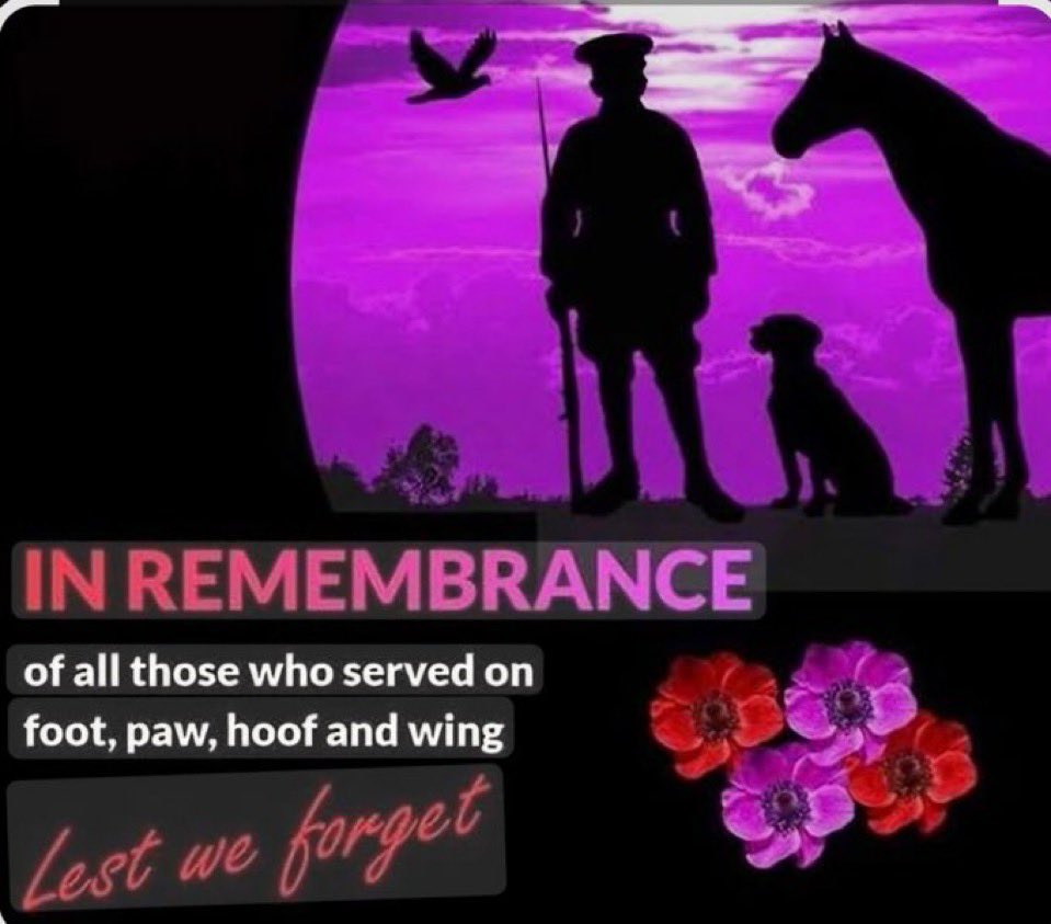 JAPR_ERS's tweet photo. On #RemembranceDay 2025 remember #TheyAlsoServed #ServiceAnimals https://t.co/JJeXpOBnTV