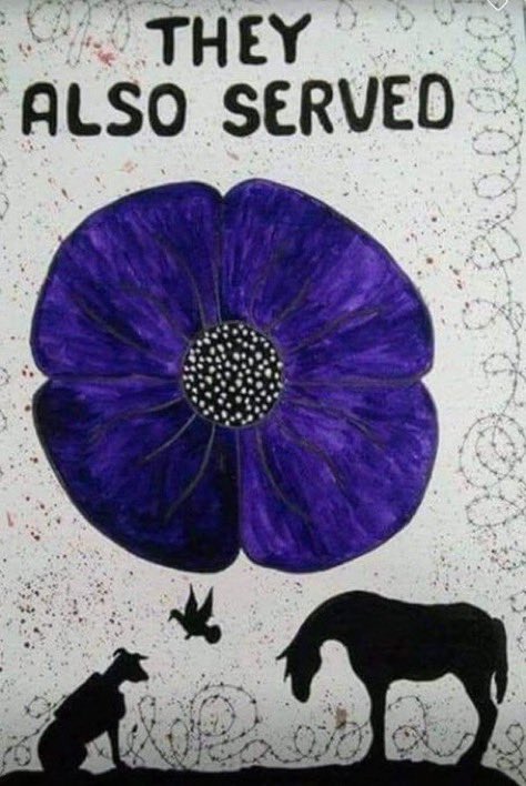 JAPR_ERS's tweet photo. On #RemembranceDay 2025 remember #TheyAlsoServed #ServiceAnimals https://t.co/JJeXpOBnTV