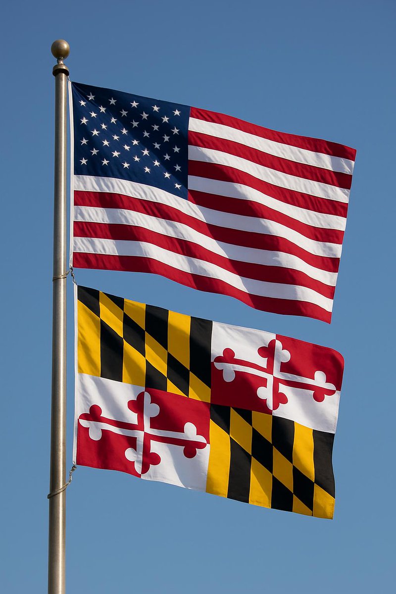 Our office is closed tomorrow, November 11th, for Veterans Day. We honor the brave men and women who served. We'll reopen Monday, November 13th, at 8:00 AM. Thank you, Veterans!