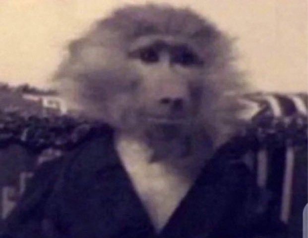 مش عاوزة اشوف اخر حلقة لأن غالبا البطل والبطلة هيسيبوا بعض