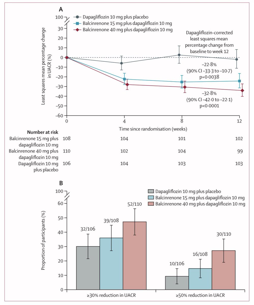 JonathanNefro's tweet photo. Con enfermedad renal crónica G3bA3, Balcinrenona + dapagliflozina, comparado a dapagliflozina sola, ↓32% más albuminuria y solo 7% hizo hiperkalemia, al tratarlos 3 meses

Finerenona tiene un nuevo digno competidor😉 

Ensayo clínico MIRO-CKD

Lancet 2025
https://t.co/AYj4vSDQL0 https://t.co/WjB6i7tdgF