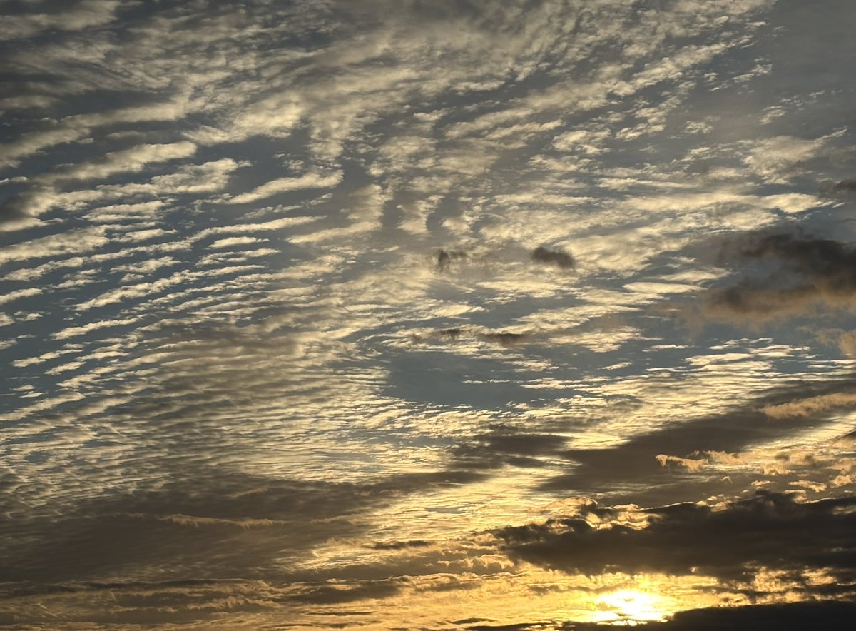おはようございます☀️ 
金曜日から風邪ひいて、無事に復活しました。身体が軽い^_^ 
綺麗な今日の朝日も見ることができました！
