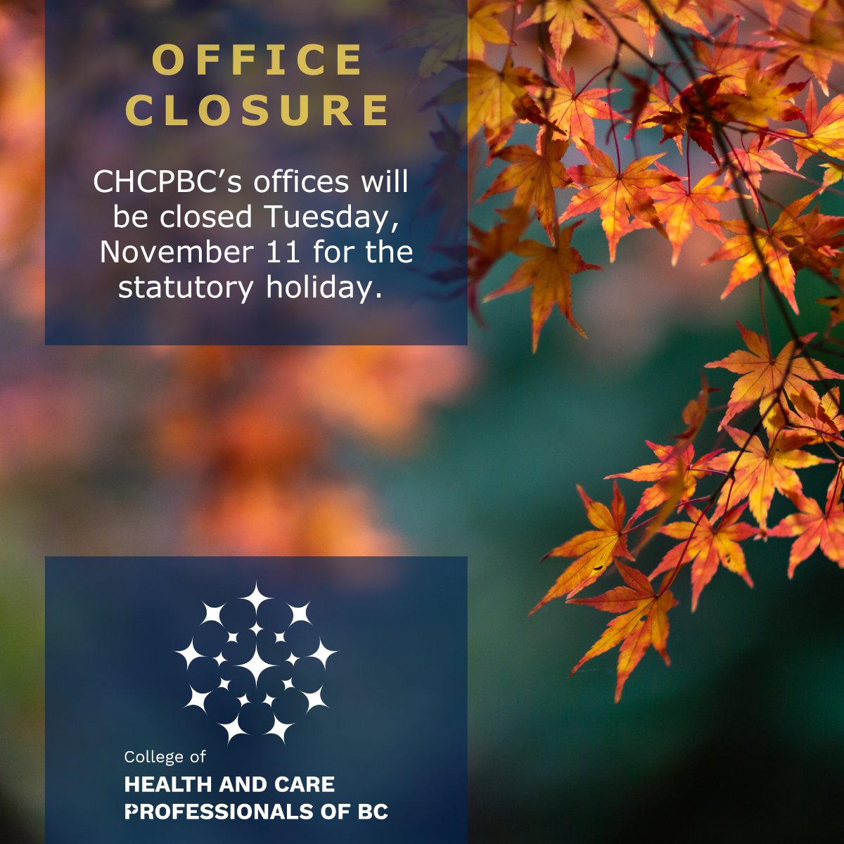 chcpbc's tweet photo. CHCPBC's offices will be closed November 11, 2025 for the statutory holiday, and re-open November 12 at 8:30 am. For information about how to contact CHCPBC, see our Contact page: https://t.co/jATXue8u2B. https://t.co/LXyUpXWh1q