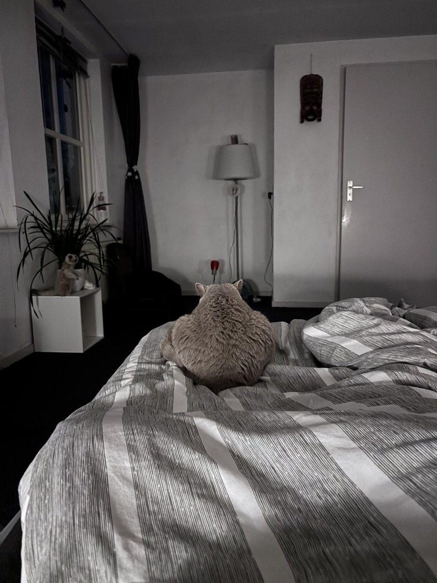 Mens schreef aan mens van <a href="/Charlie_met_i_e/">Charlie met i e 🐾</a>  er zit een kereltje met een kolossale Colossus kont op mijn bed 😂
🙀🙀🙀🙀🙀