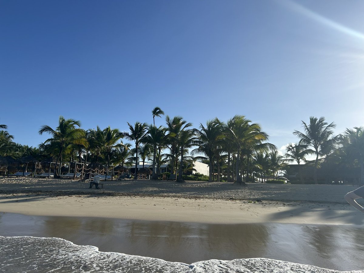 Sebdurand's tweet image. Pas pour me vanter mais …