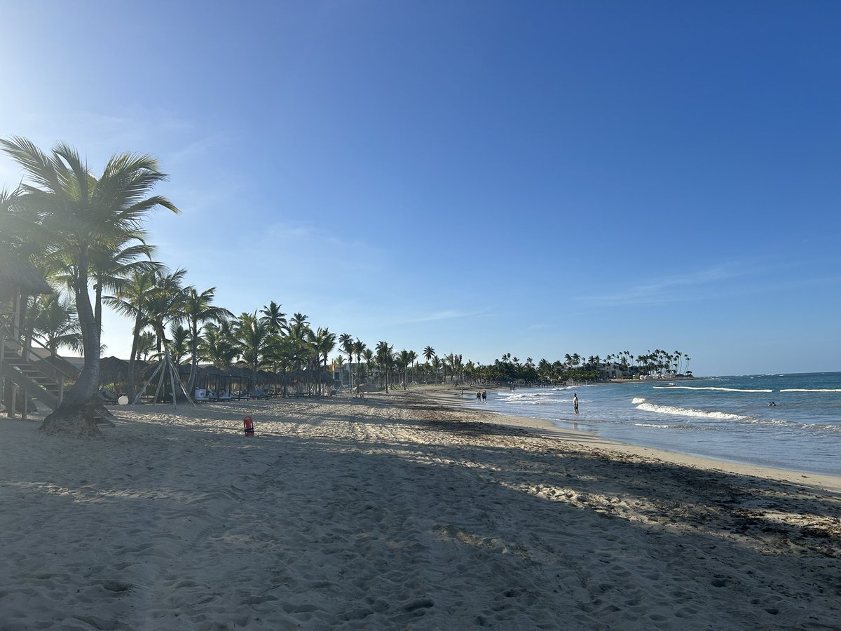 Sebdurand's tweet image. Pas pour me vanter mais …