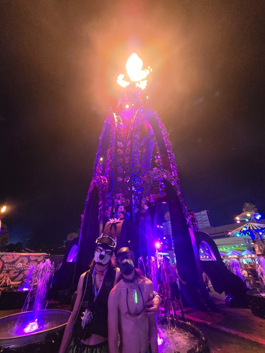 MotoAces's tweet photo. Some more pup pics from edco! https://t.co/ucGgjooRPn
