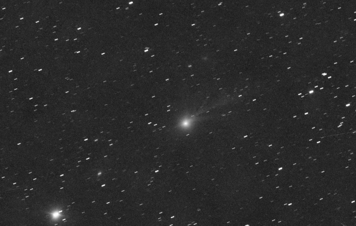 Jose Vizner tweet media