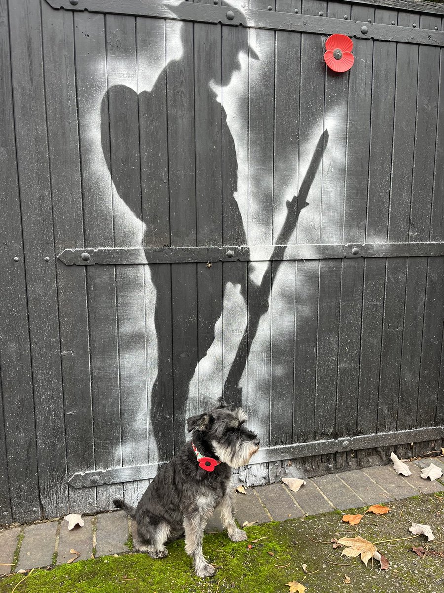 HedgehogsUnlim1's tweet image. 