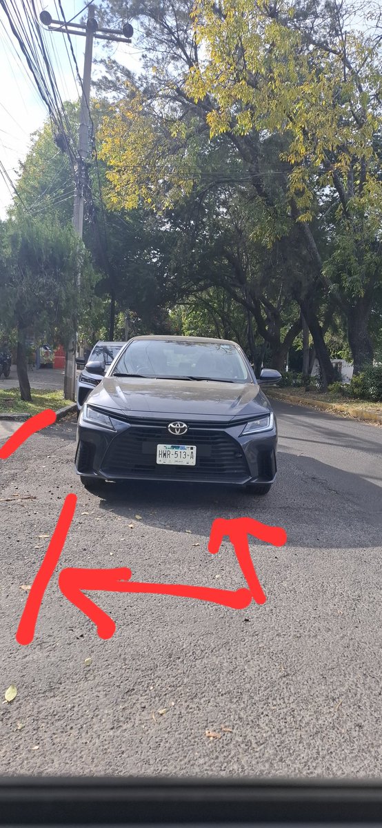 M.ZAPOPAN tweet media