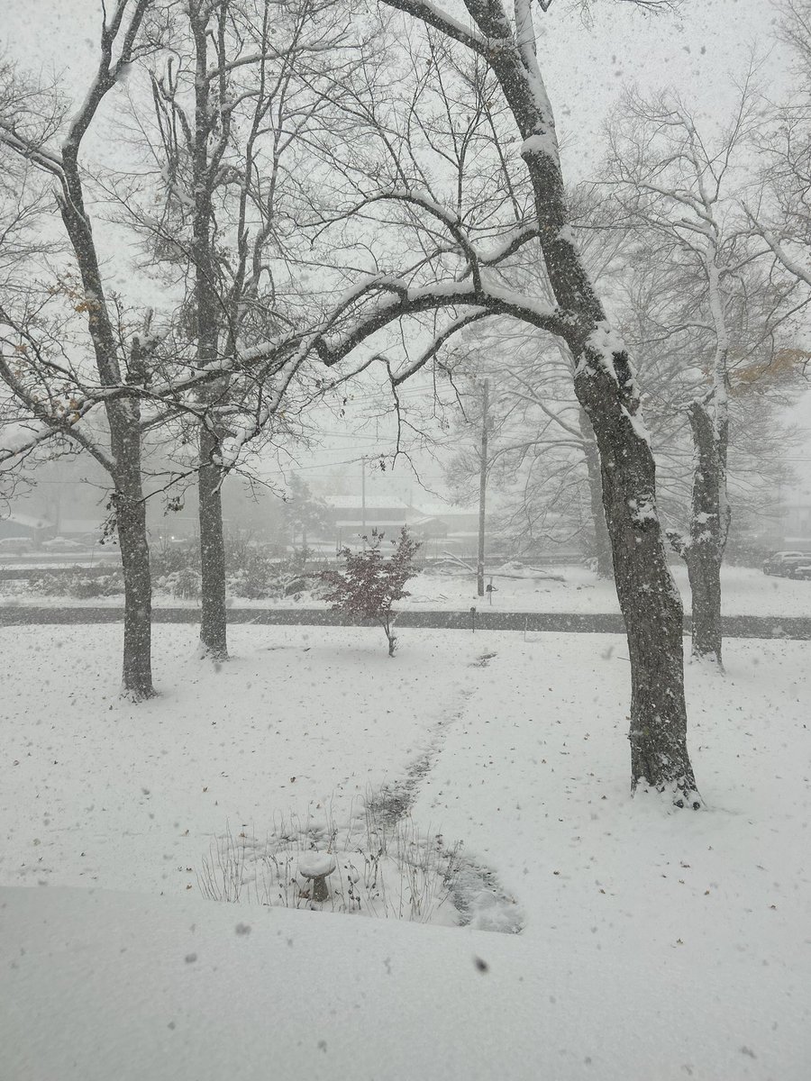 icculus26's tweet photo. Thinking back to mid August when I took the Greyhound bus to Memphis, @spoonbendsleaze picked me up, and I hung out at the Zebra Ranch in Mississippi while he recorded. Had no AC and it was over 100. Those were the days. Anyways, this is the crazy #snowicane in southern, MI right now. Glad I agreed to help out at my friends catering business tonight…