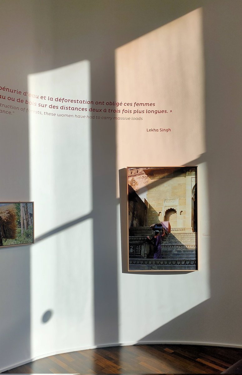 Souvenir d'un mois de juin 2022

Quand la lumière du jour s'était mise dans l'idée de jouer avec les ombres d'une photo.

Belle soirée à vous.