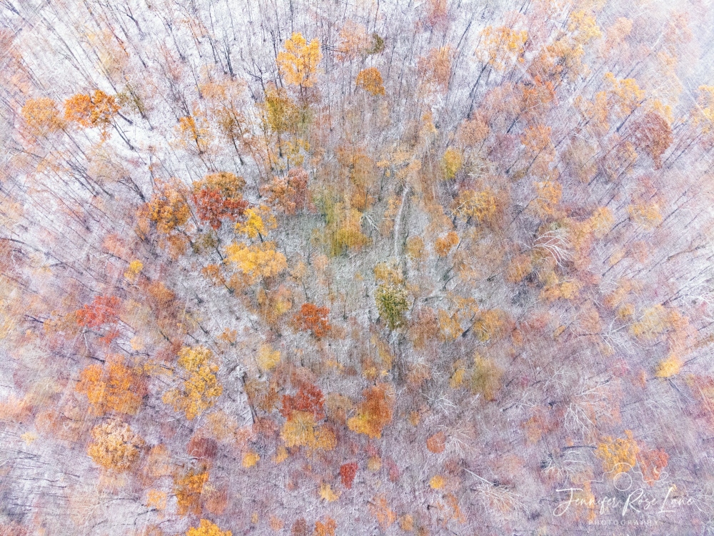 Jens_Starry_Sky's tweet photo. November snow showers. Drone perspective 🌨️🍂 #NovemberSnow #WV #weather #WVweather @StormHour @SpencerWeather @WSAZBrandon @GaudetWeather https://t.co/PJDc2cgHUJ