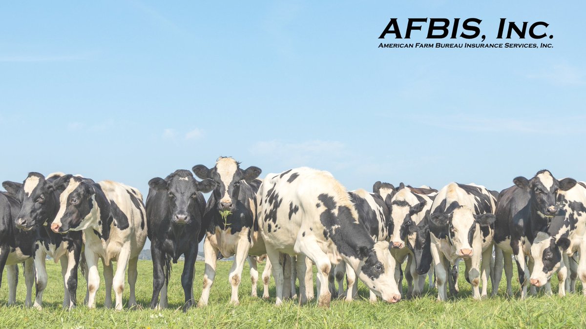 AfbisInc's tweet photo. No DRP or LRP Cattle Sales Today – November 10, 2025

Dairy Revenue Protection (DRP) and Livestock Risk Protection (LRP) Cattle sales are suspended today, Monday, November 10, due to current market and report conditions.

🐖LRP-Swine offers remain available as normal. https://t.co/hHD7oUTxi7