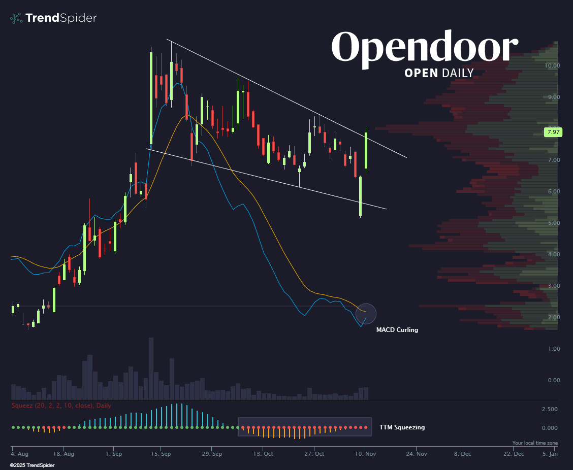 $OPEN has ripped +50% since Friday’s open.

Starting to smell like a major short squeeze. 🍋