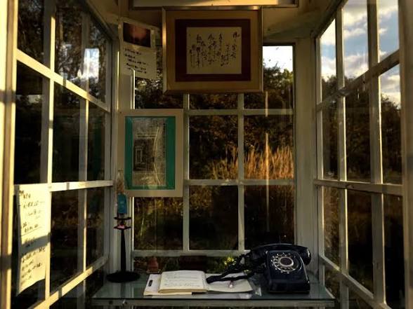 Gratitude DNA tweet media