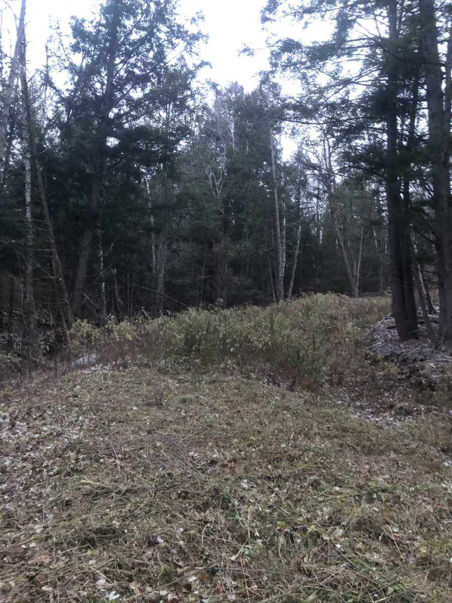 NipissingTrails's tweet image. Just keep putting one foot in front of the other… #IncrementalGains