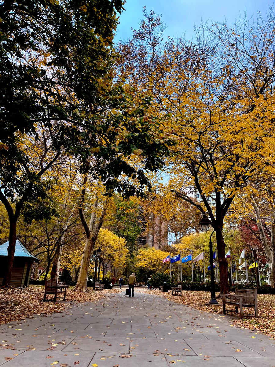 Jimmyking35's tweet image. Even on a gloomy day, the Old City section of Philadelphia is so incredibly beautiful