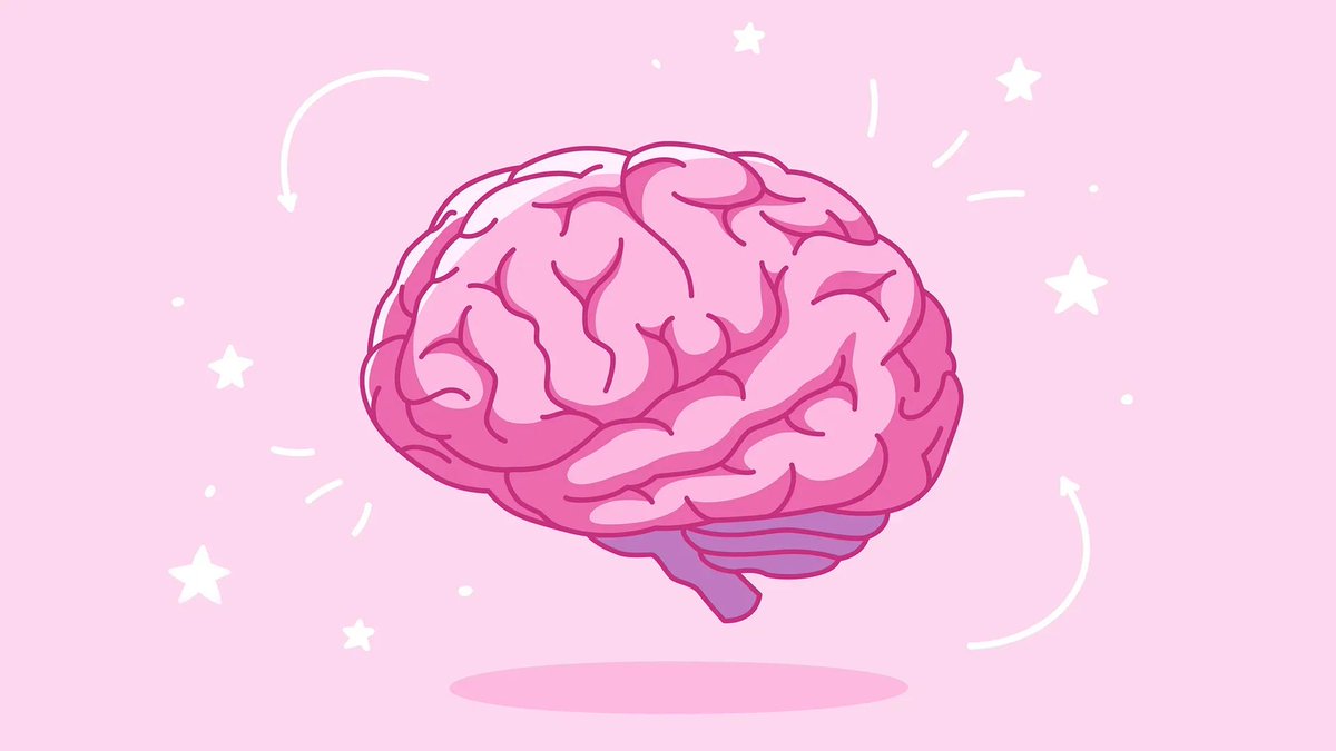 LilyMayerWriter's tweet image. 🧠 Want to improve your memory?
Check out the “2-7-30 rule” and how 150+ years of research show it can help you retain more of what you learn.
buff.ly/NzThARA
#Learning #MemoryTips #StudySmart